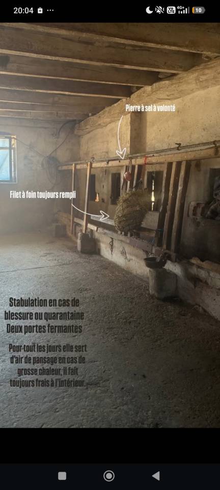 Pension &eacute;questre 