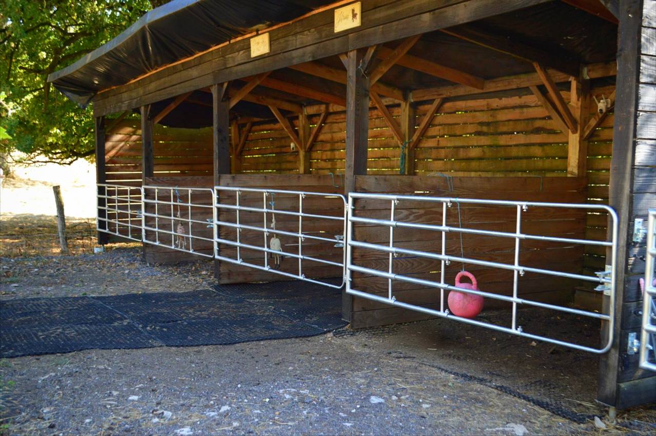 Pension pr&eacute;, box/paddock, travail, poulinage (21)