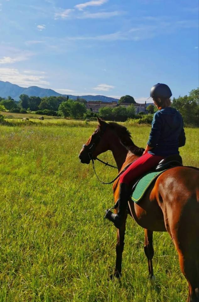 Cheval &agrave; vendre