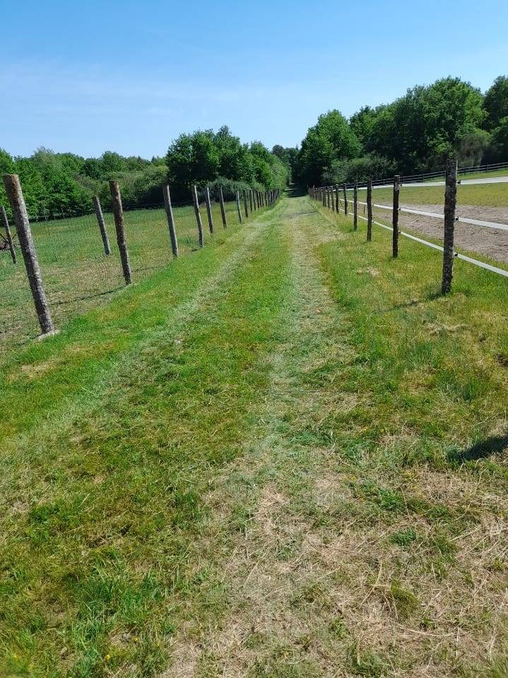 Maison sur presque 11 hectares secteur Lamotte Beuvron