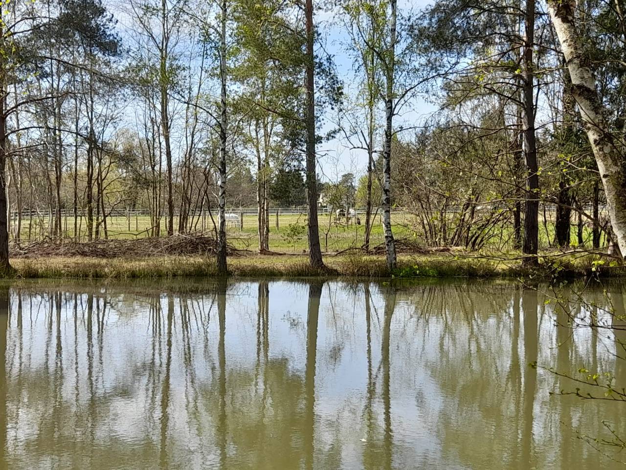 Maison sur presque 11 hectares secteur Lamotte Beuvron