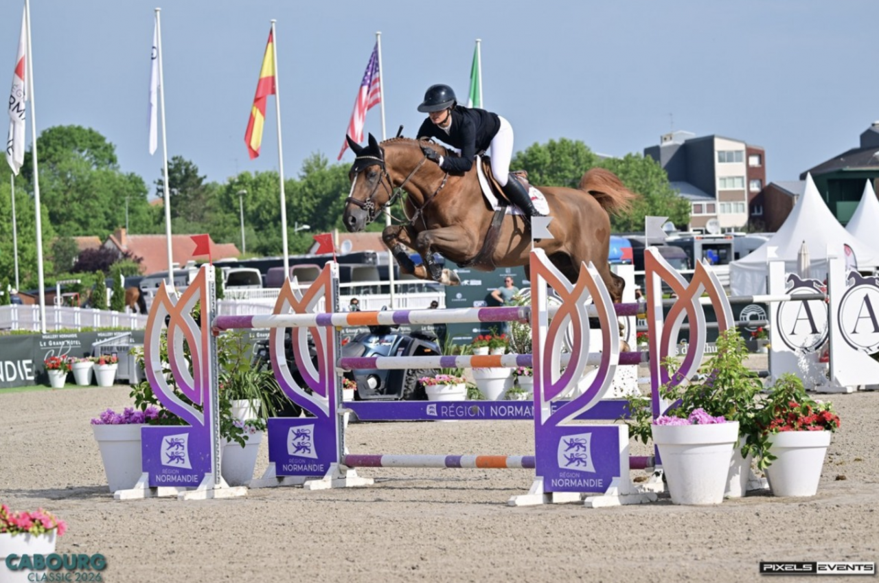 3 ans femelle baie 1m66 Elevage des Tess
