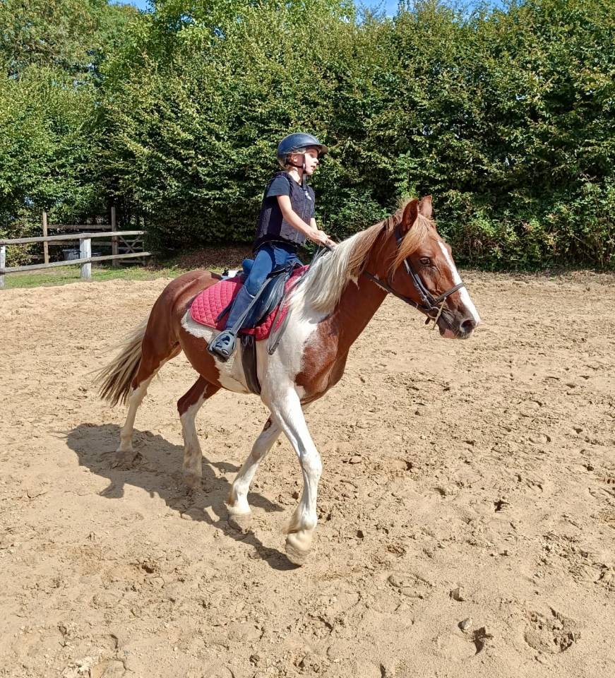 Poney C 