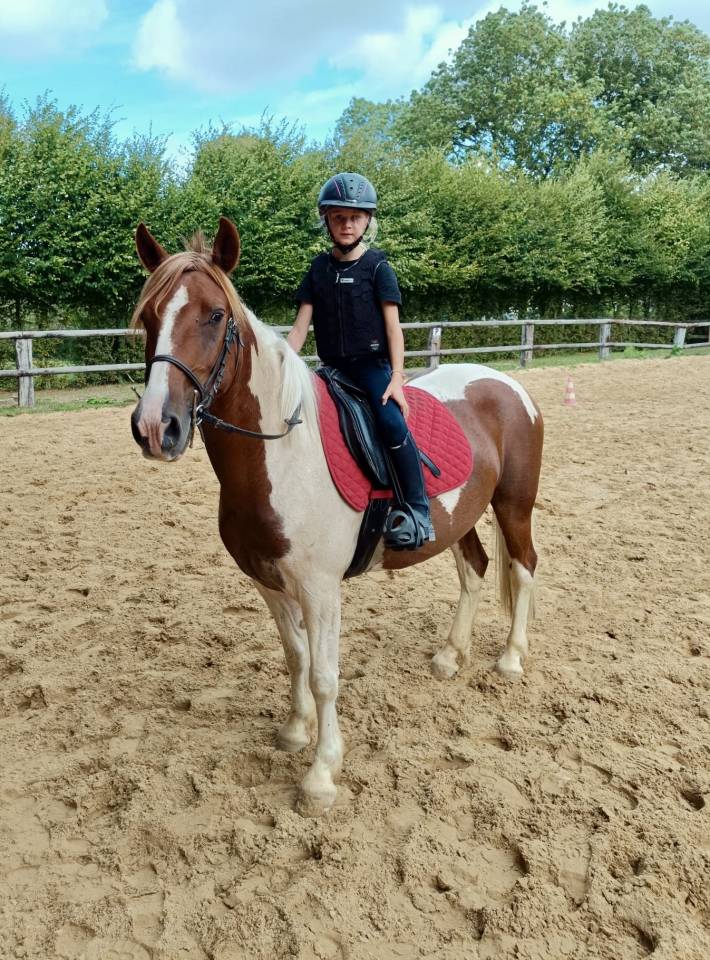 Poney C 