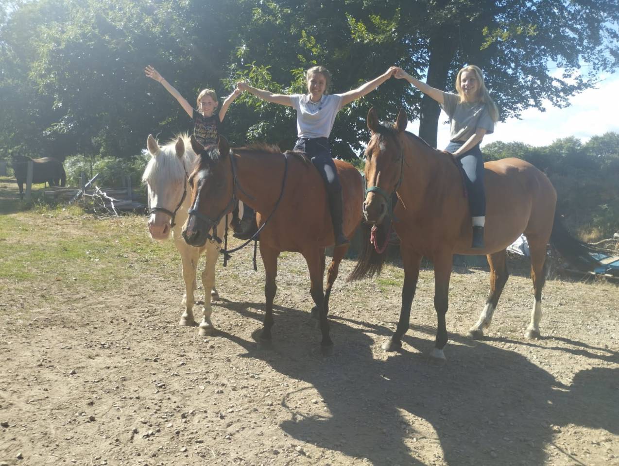 jument de loisirs 12 ans