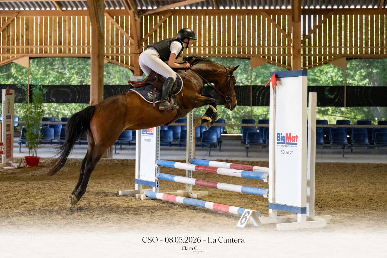 Ponette PFS sport 4 ans