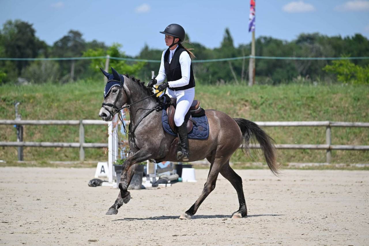 MINEDORE DE L'AUMOY - femelle PFS 4 ans