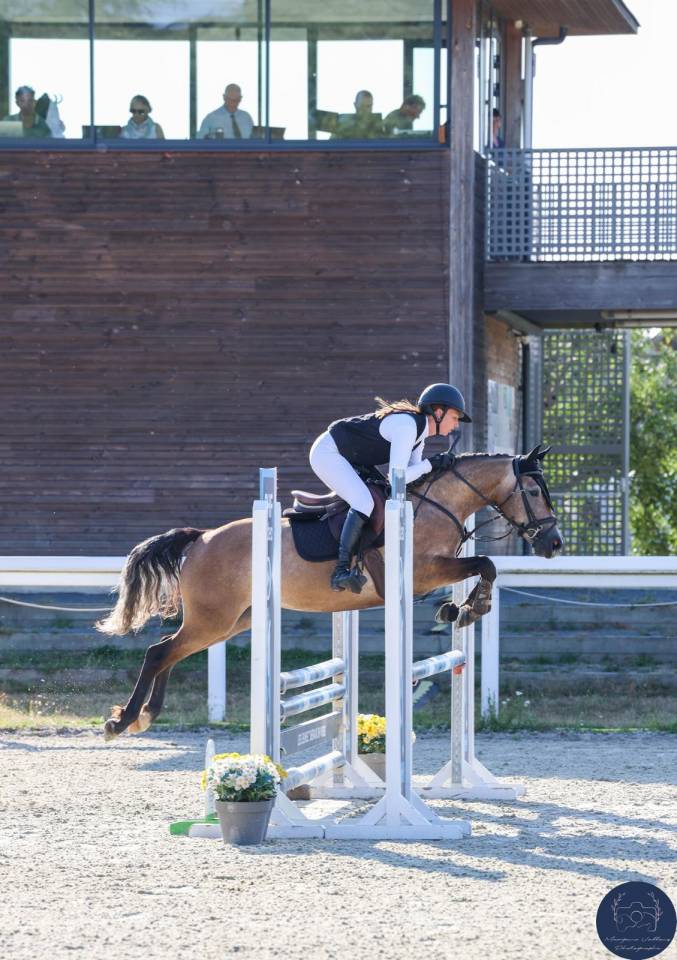 MINEDORE DE L'AUMOY - femelle PFS 4 ans