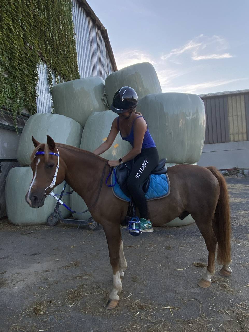 PONEY B