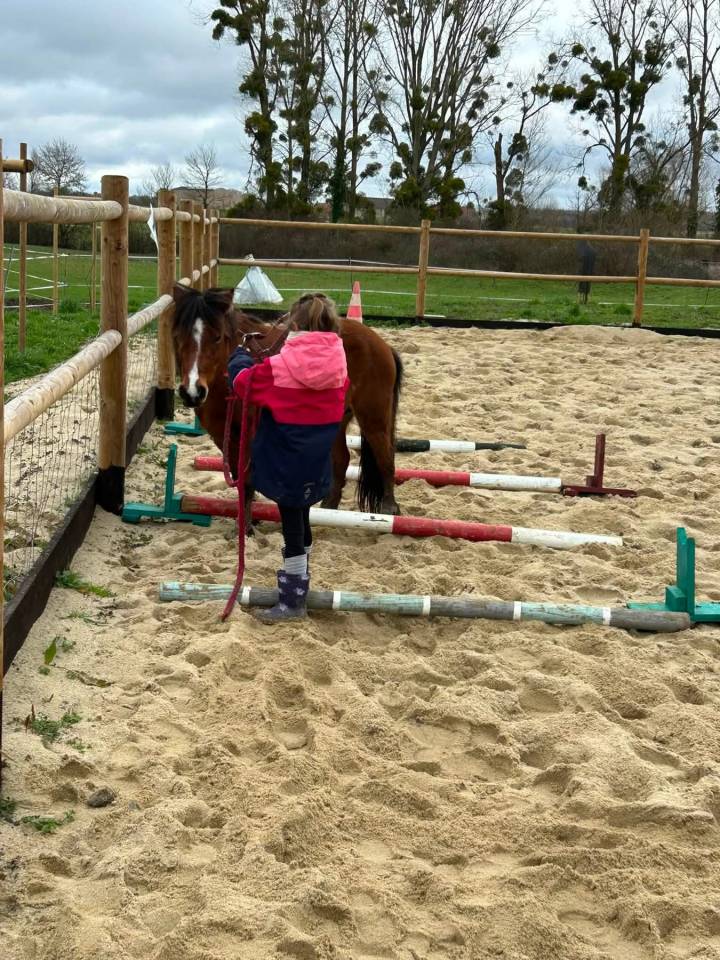 Ponette 9ans poulini&egrave;re pleine (d&eacute;bourr&eacute;e)
