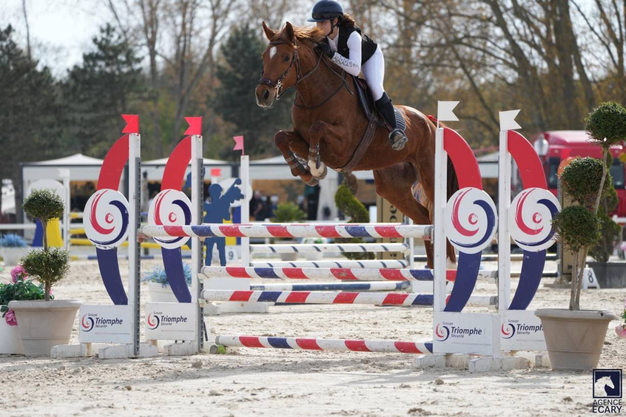 Jument SF, 11 ans , id&eacute;ale loisir et CSO 100-110