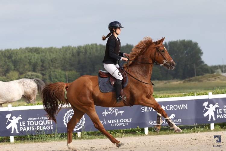 Jument SF, 11 ans , id&eacute;ale loisir et CSO 100-110