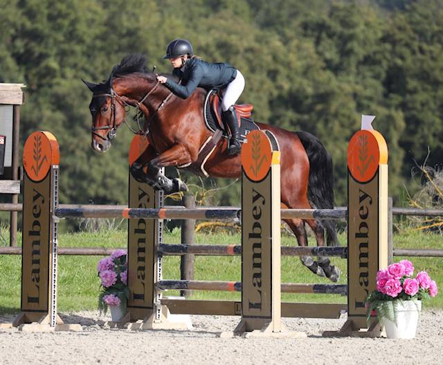 Hongre 9 ans class&eacute; 125cm