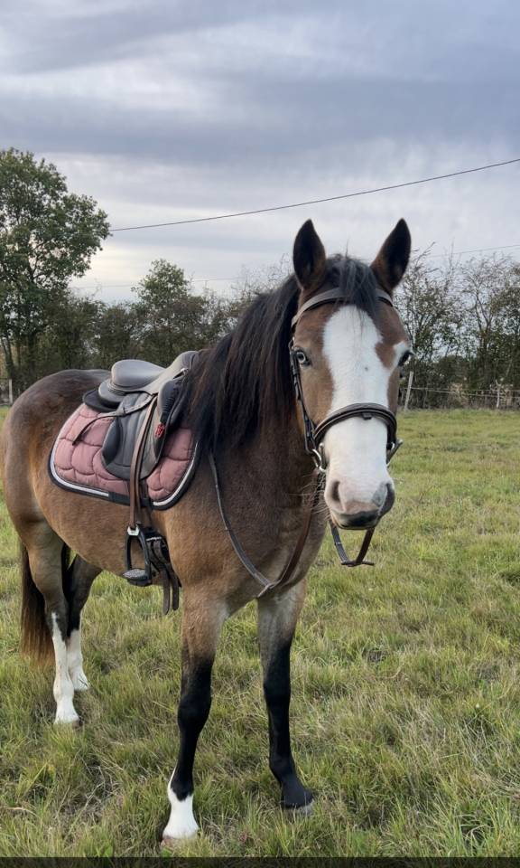 &Agrave; confier ponette 4ans 