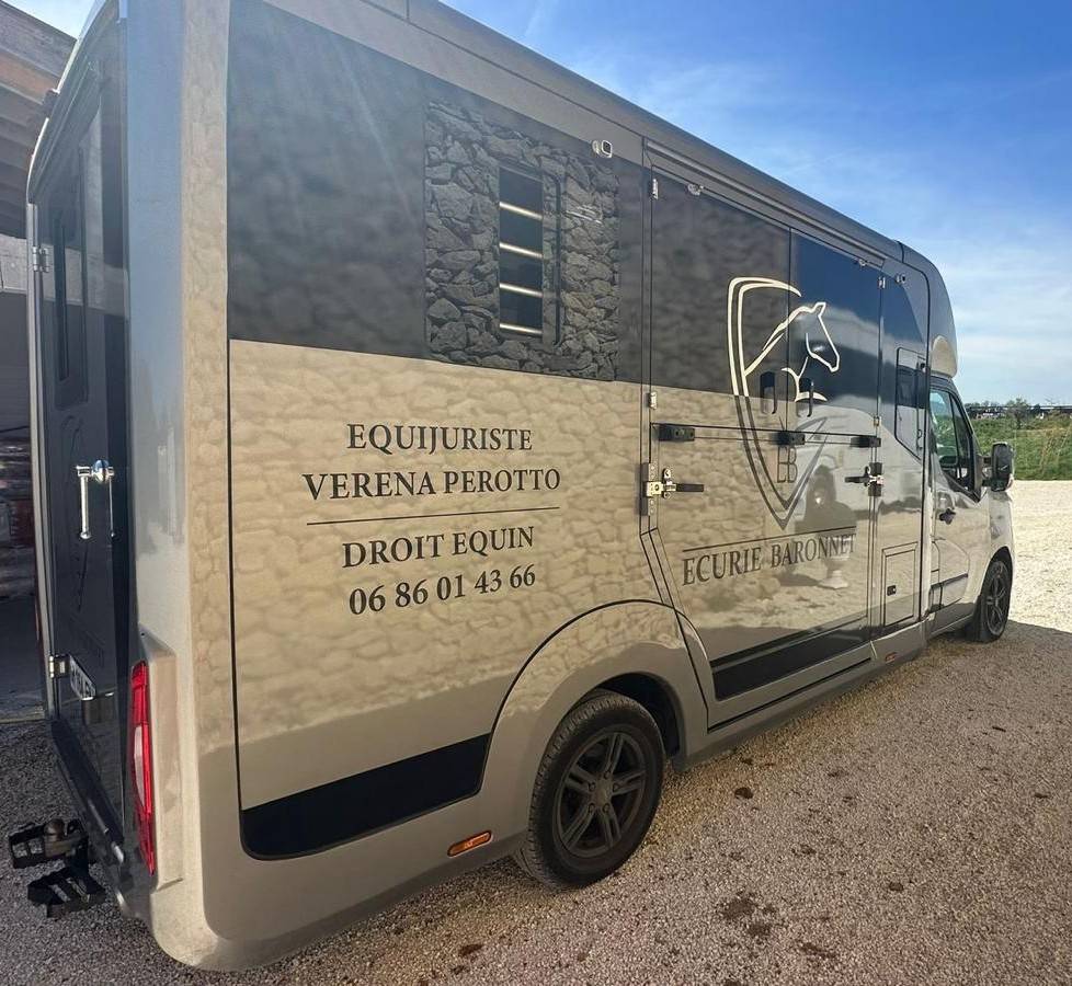 VL Renault Master STX