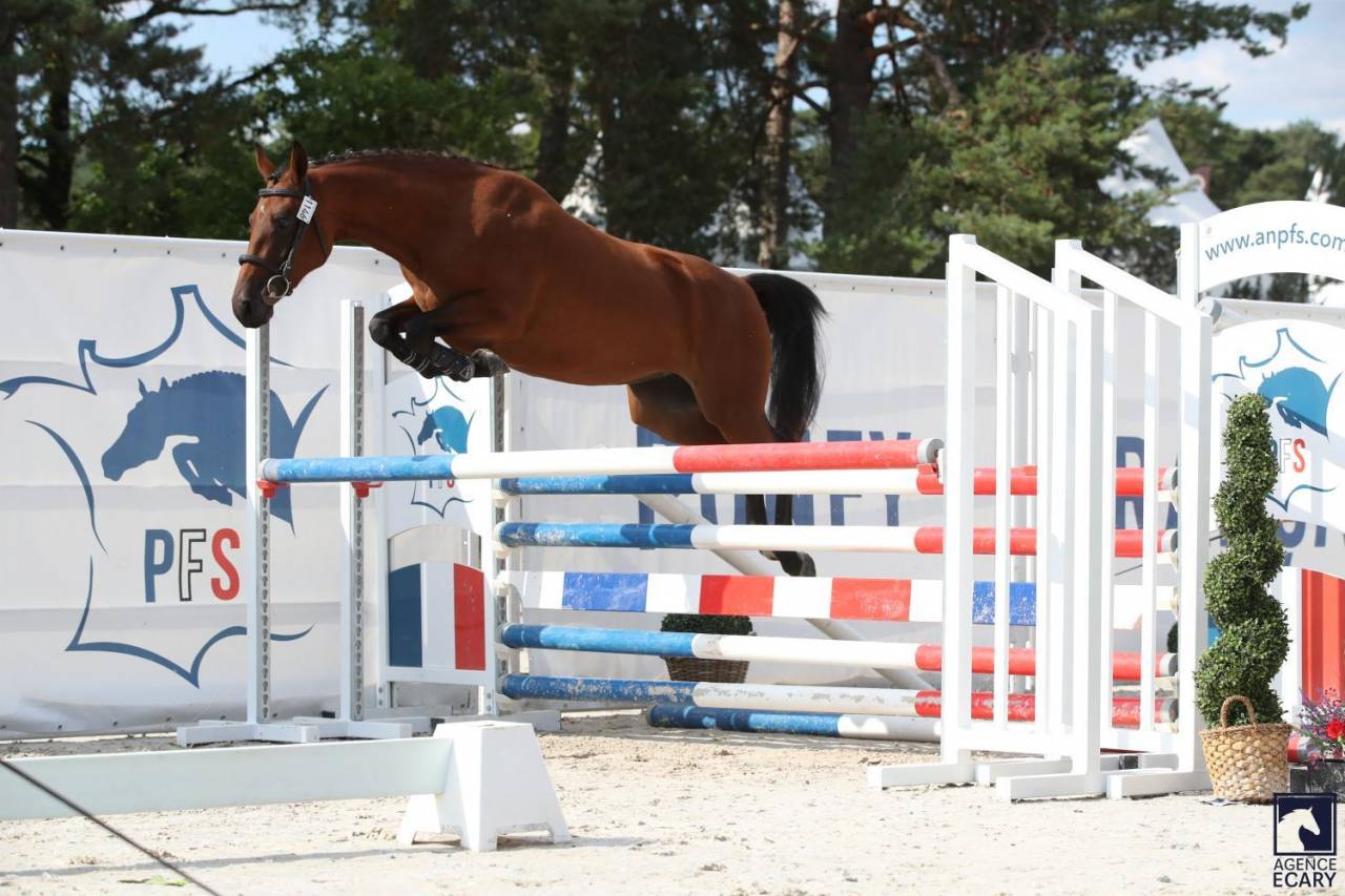 Ponette PFS 3 ans 