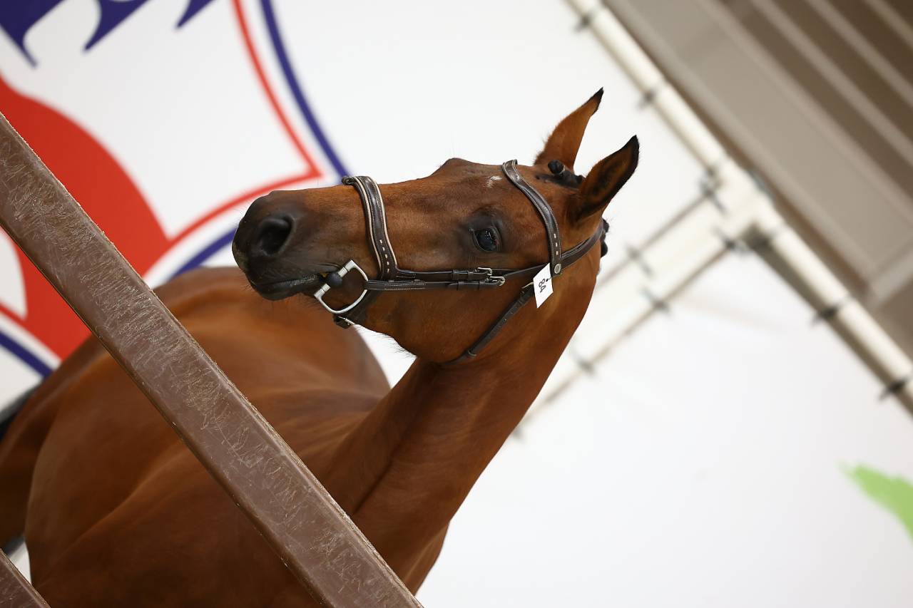 Ponette PFS 3 ans 