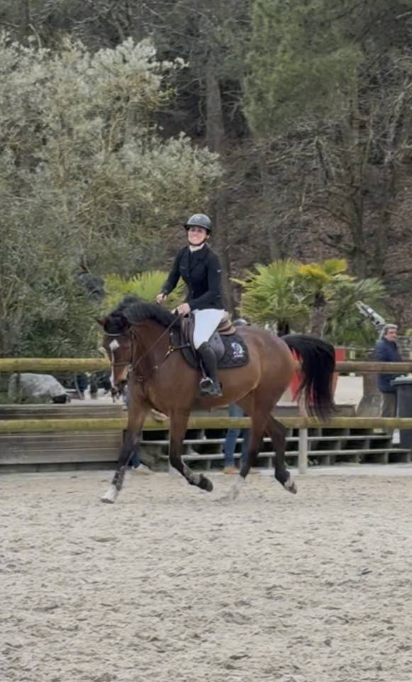 Jument chic pour CSO