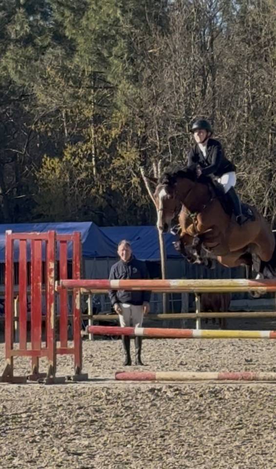 Jument chic pour CSO