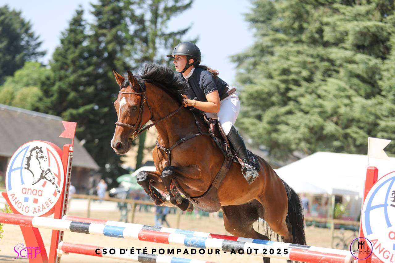 Jument chic pour CSO