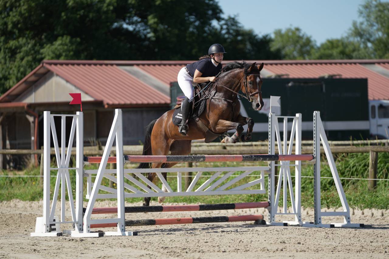 Jument chic pour CSO