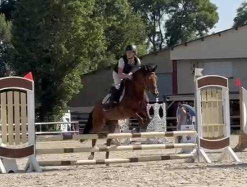 Ponette C par quoutsou 