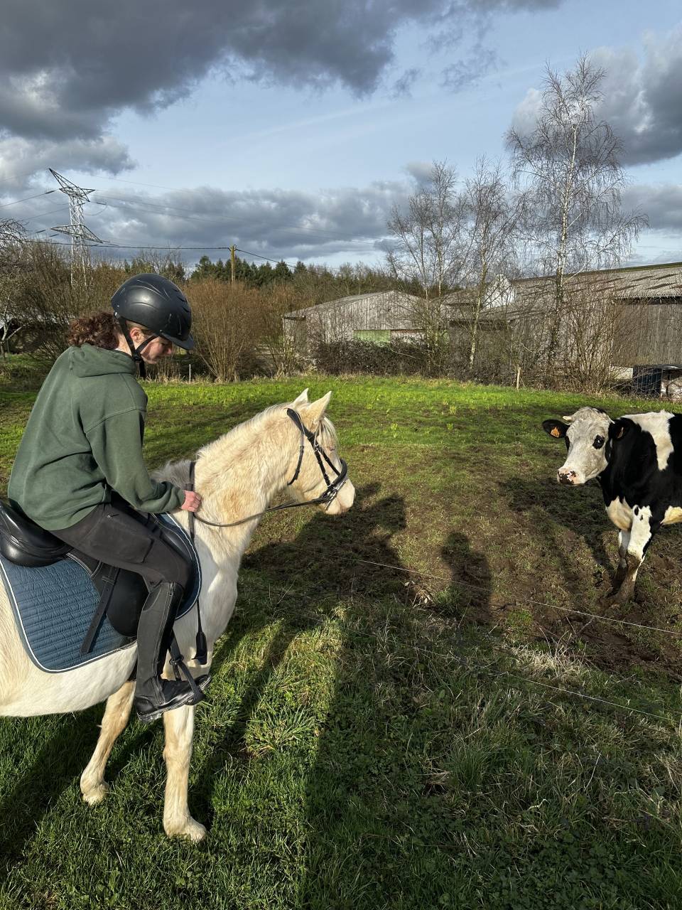Ponette OC de 4 ans