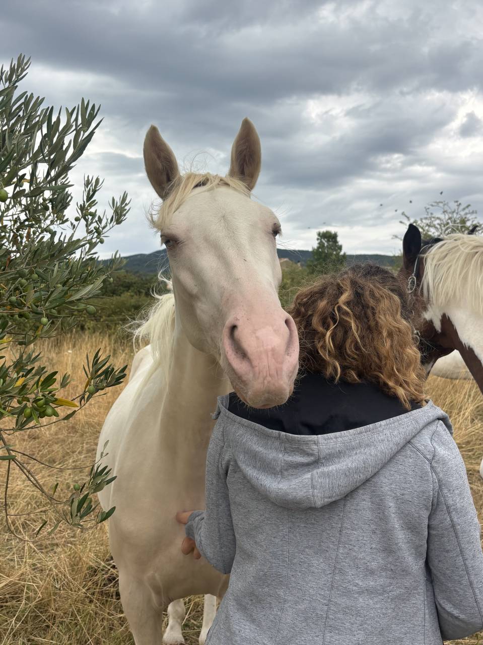 Ponette OC de 4 ans