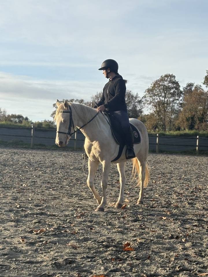Ponette OC de 4 ans