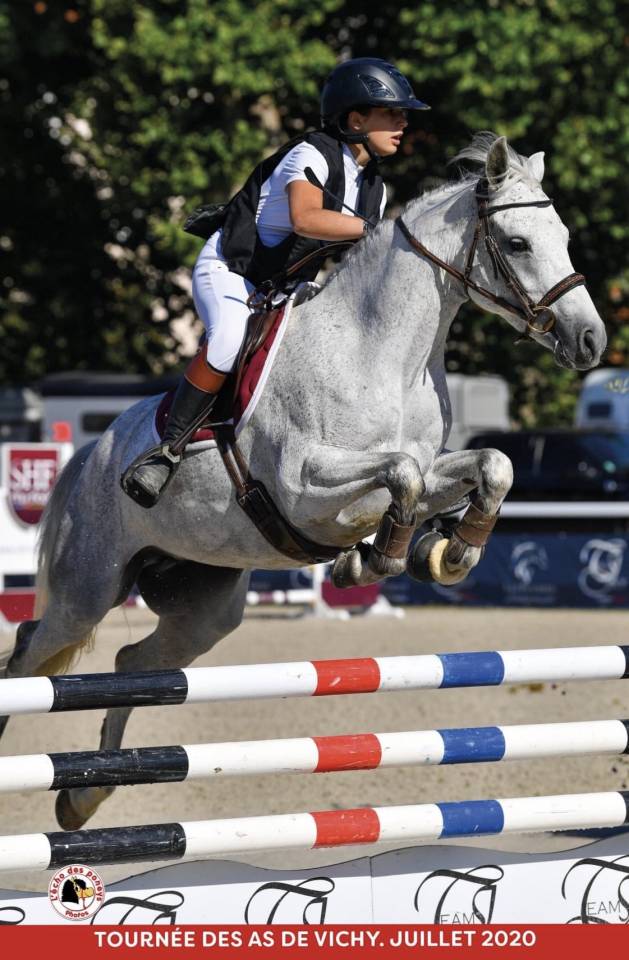 Futur poney de sport rouan pp Connemara 