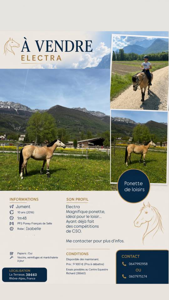 Magnifique ponette &Agrave; VENDRE