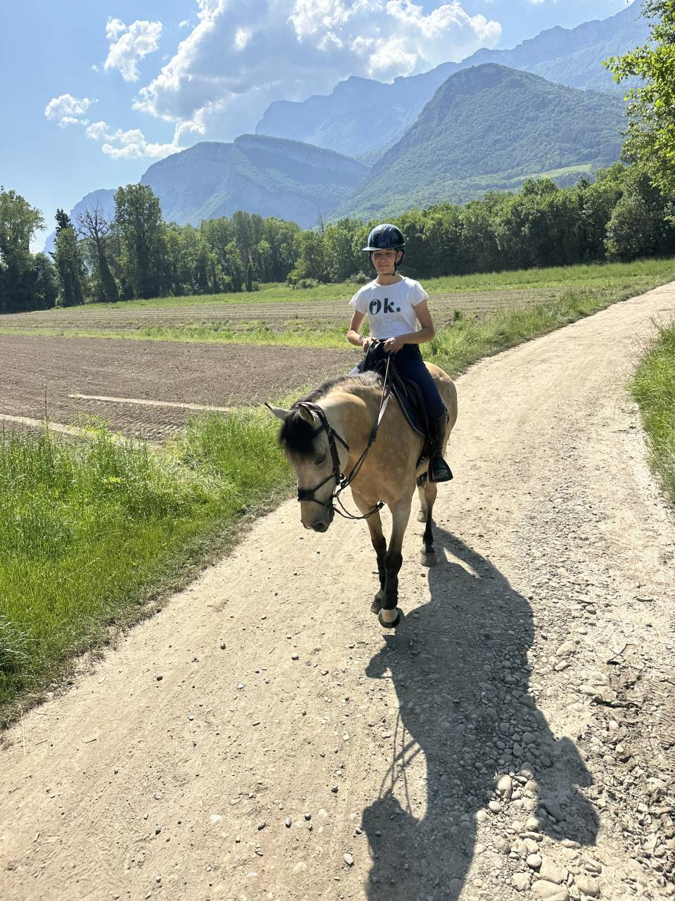 Magnifique ponette &Agrave; VENDRE