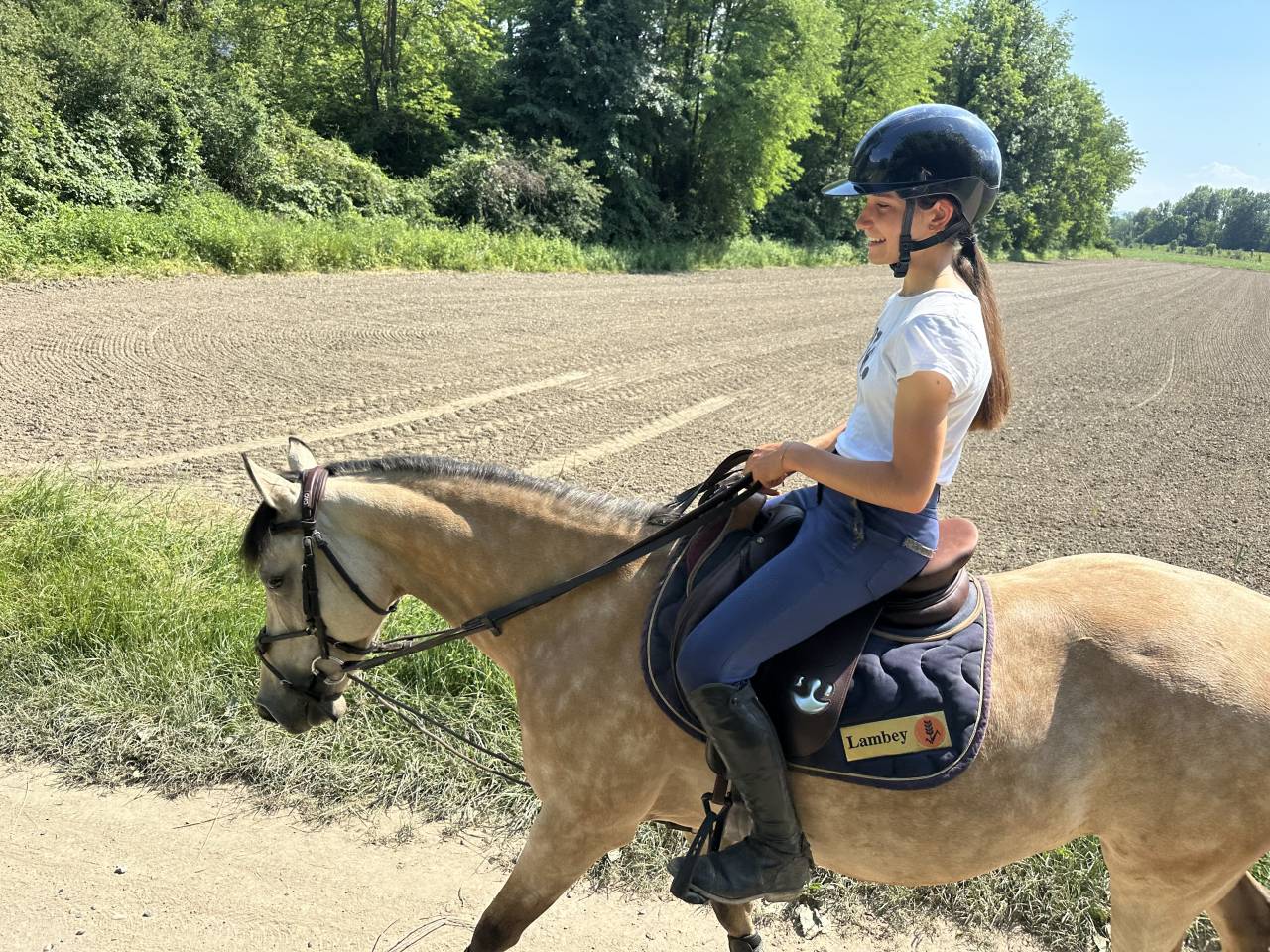 Magnifique ponette &Agrave; VENDRE