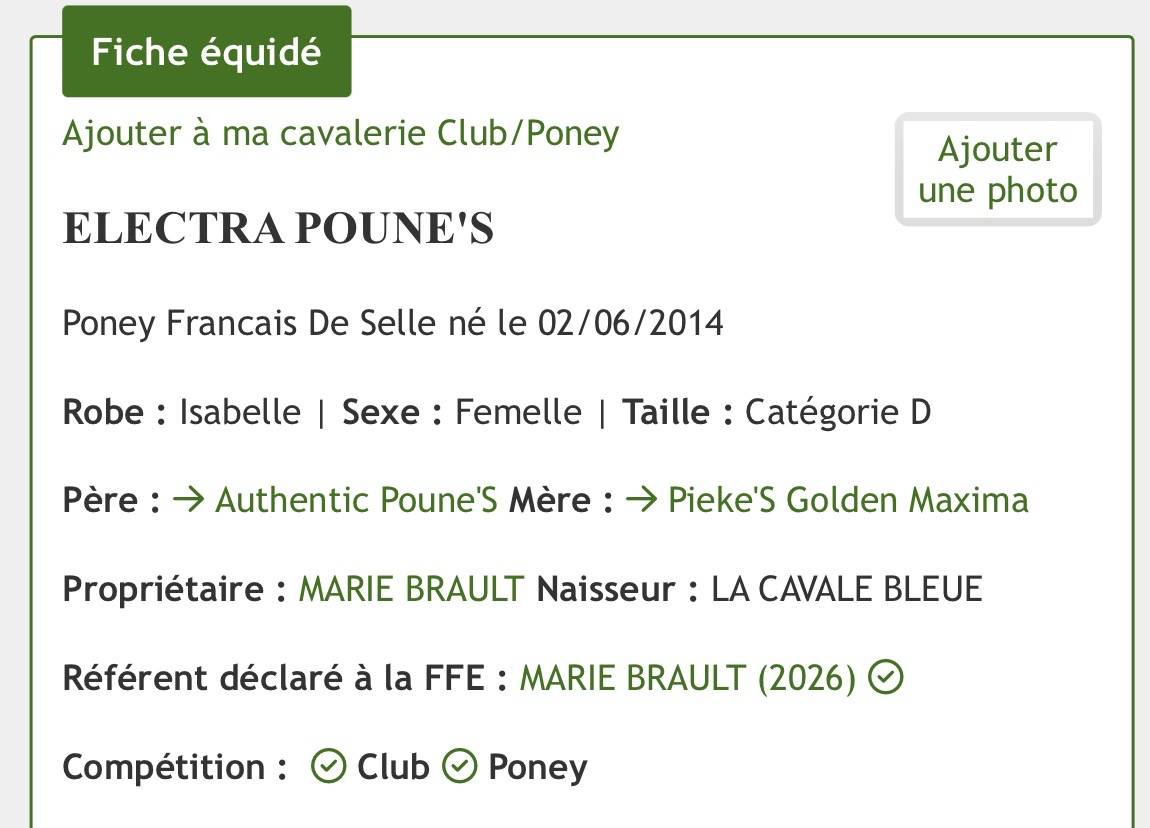 Magnifique ponette &Agrave; VENDRE