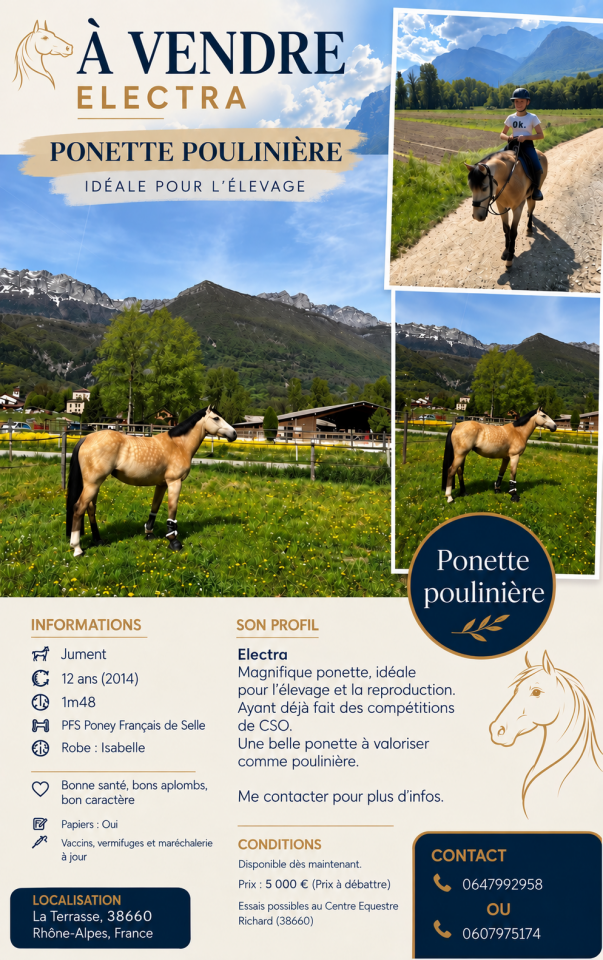 Magnifique ponette &Agrave; VENDRE