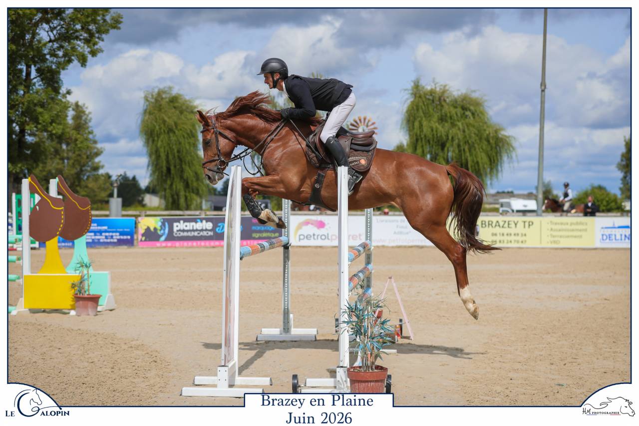JUMENT de 5 ANS par ANDIAMO SEMILLY