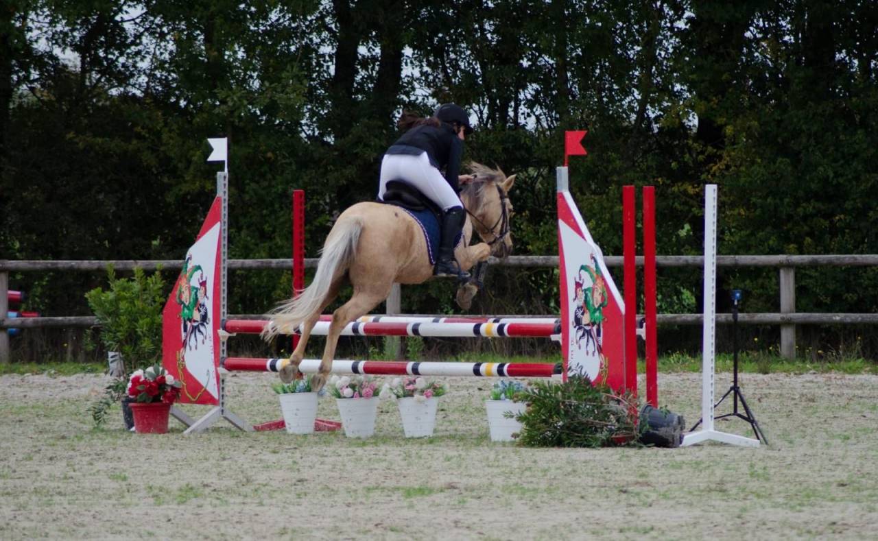 &Agrave; vendre ponette de sport