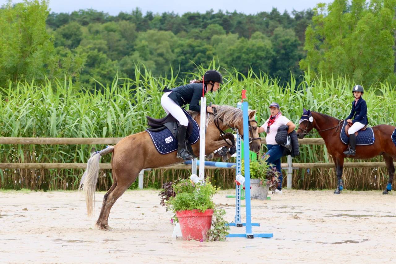 &Agrave; vendre ponette de sport