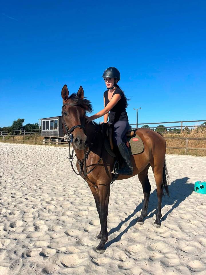 Gentil cheval 