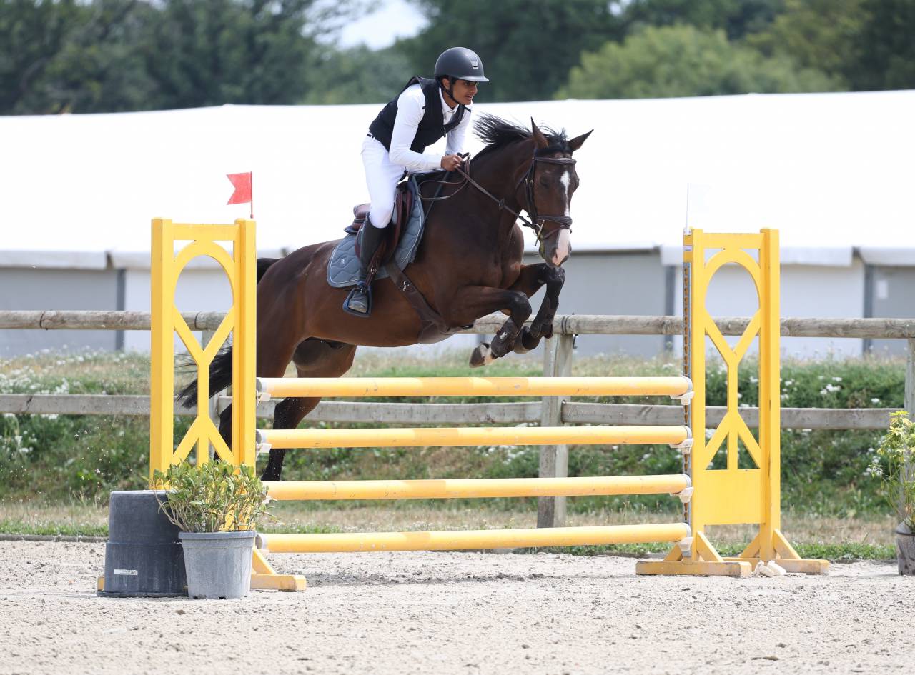 Cheval de sport pour d&eacute;buter en CSO amateur