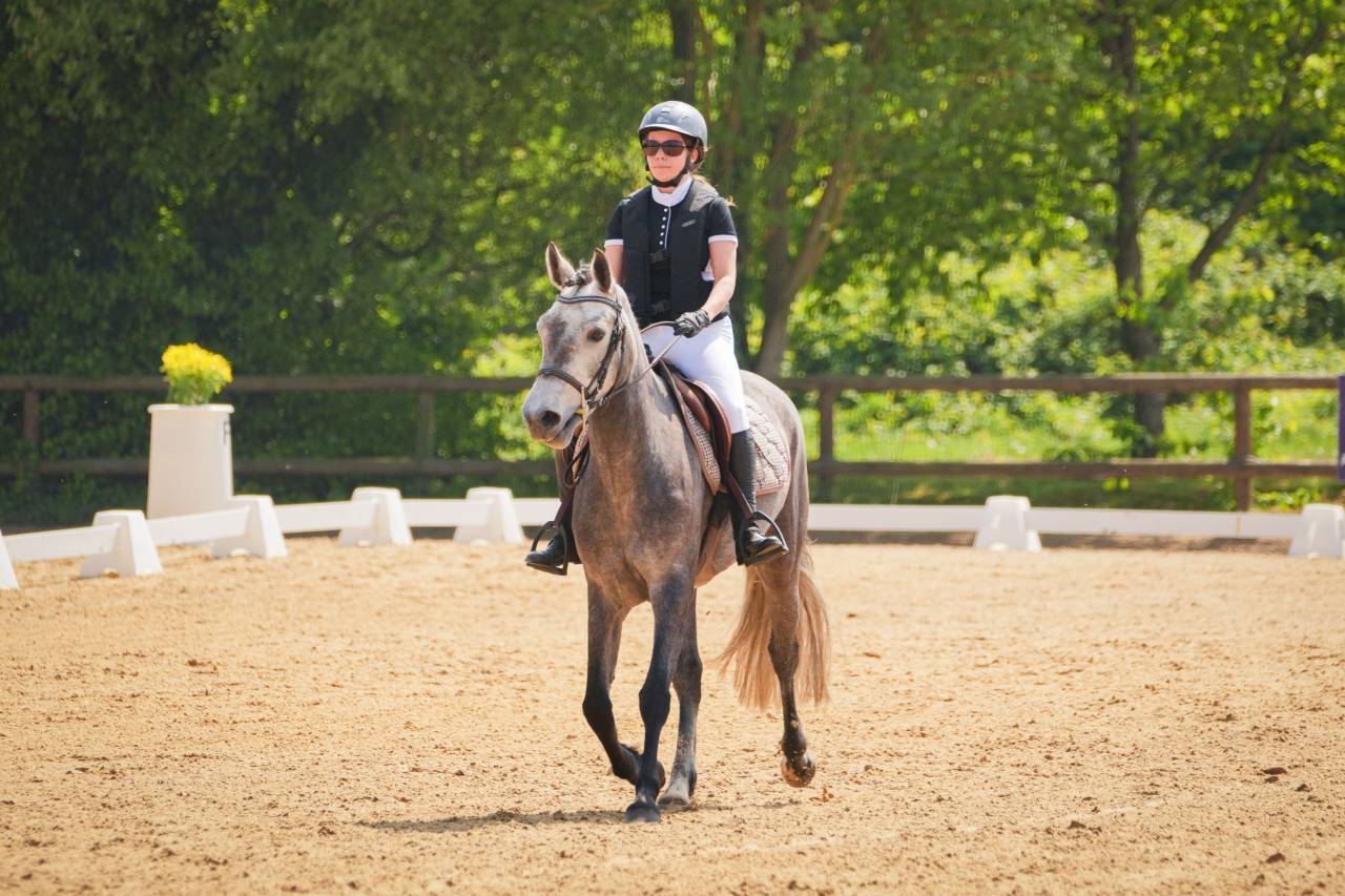 Ponette Connemara PP - 5 ans - 1m48 - Mental en or