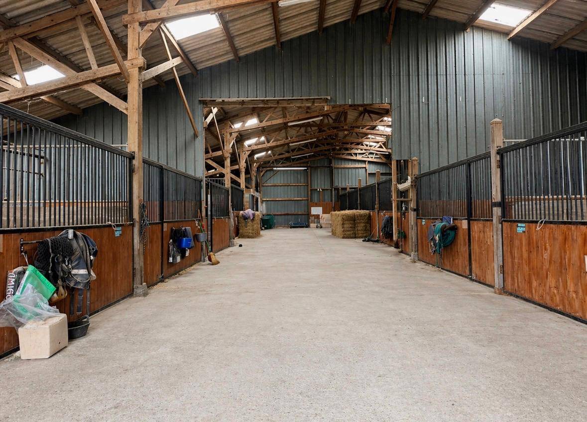 Haras de 11 hecatres sur Forges les Eaux 