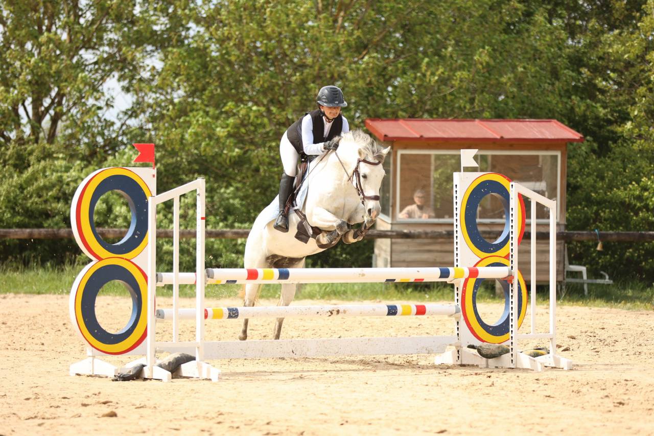 Poney &agrave; vendre Puy de d&ocirc;me 
