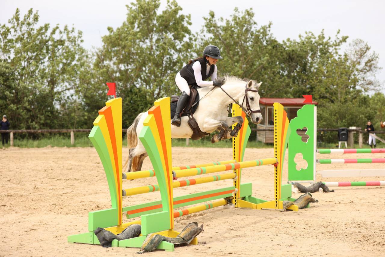 Poney &agrave; vendre Puy de d&ocirc;me 