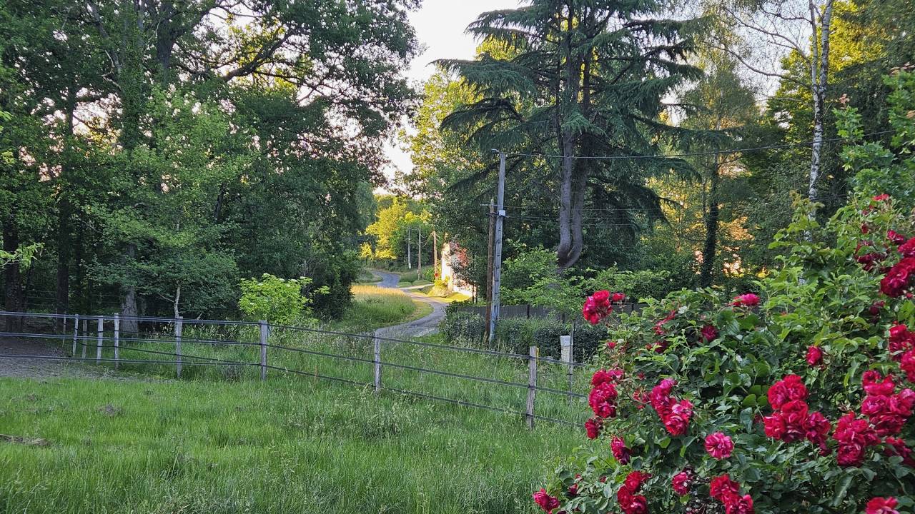 Long&egrave;re vigneronne avec installations &eacute;questres