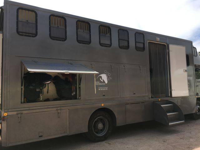 Camion PL 6 chevaux + camping car