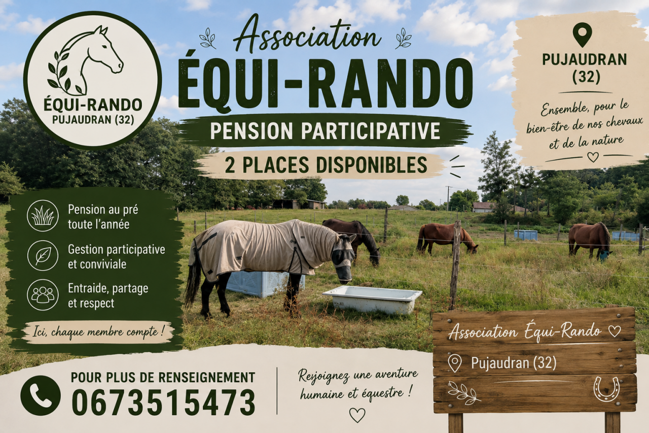 Pension chevaux participative Equi-Rando - Pujaudran 