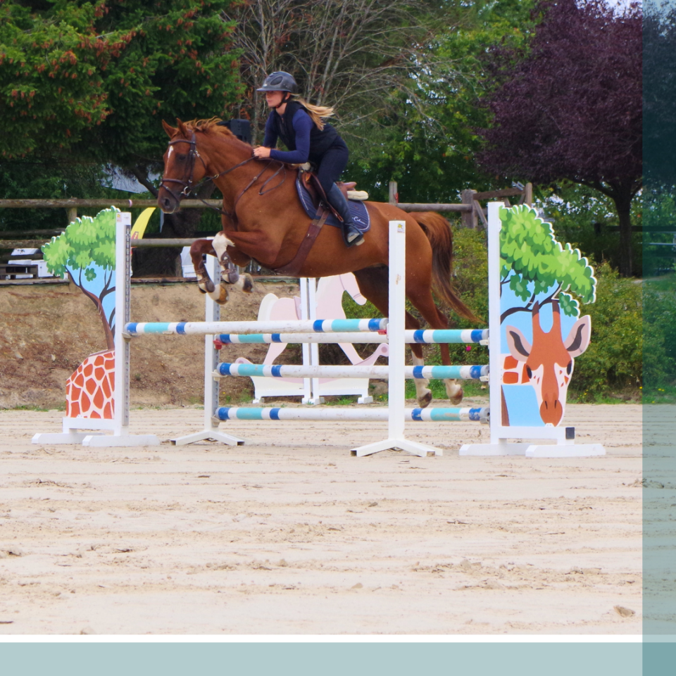 Jument 8 ans gagnante Amateur 2 CSO