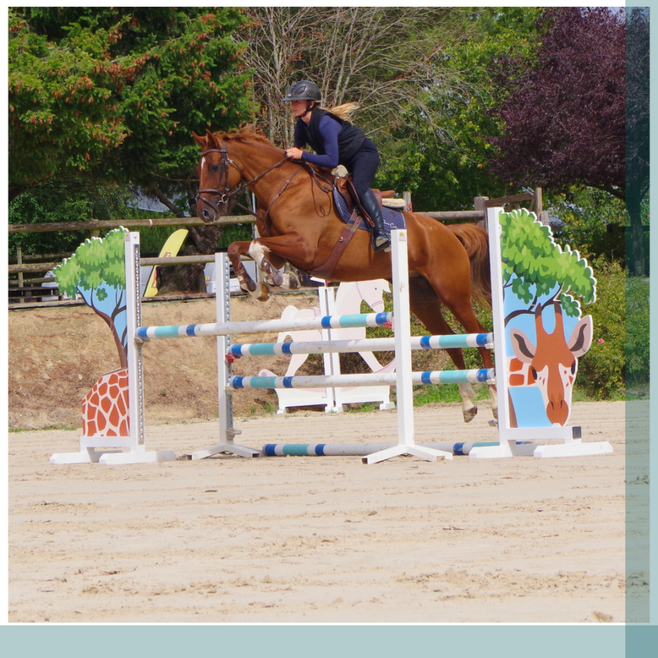 Jument 8 ans gagnante Amateur 2 CSO