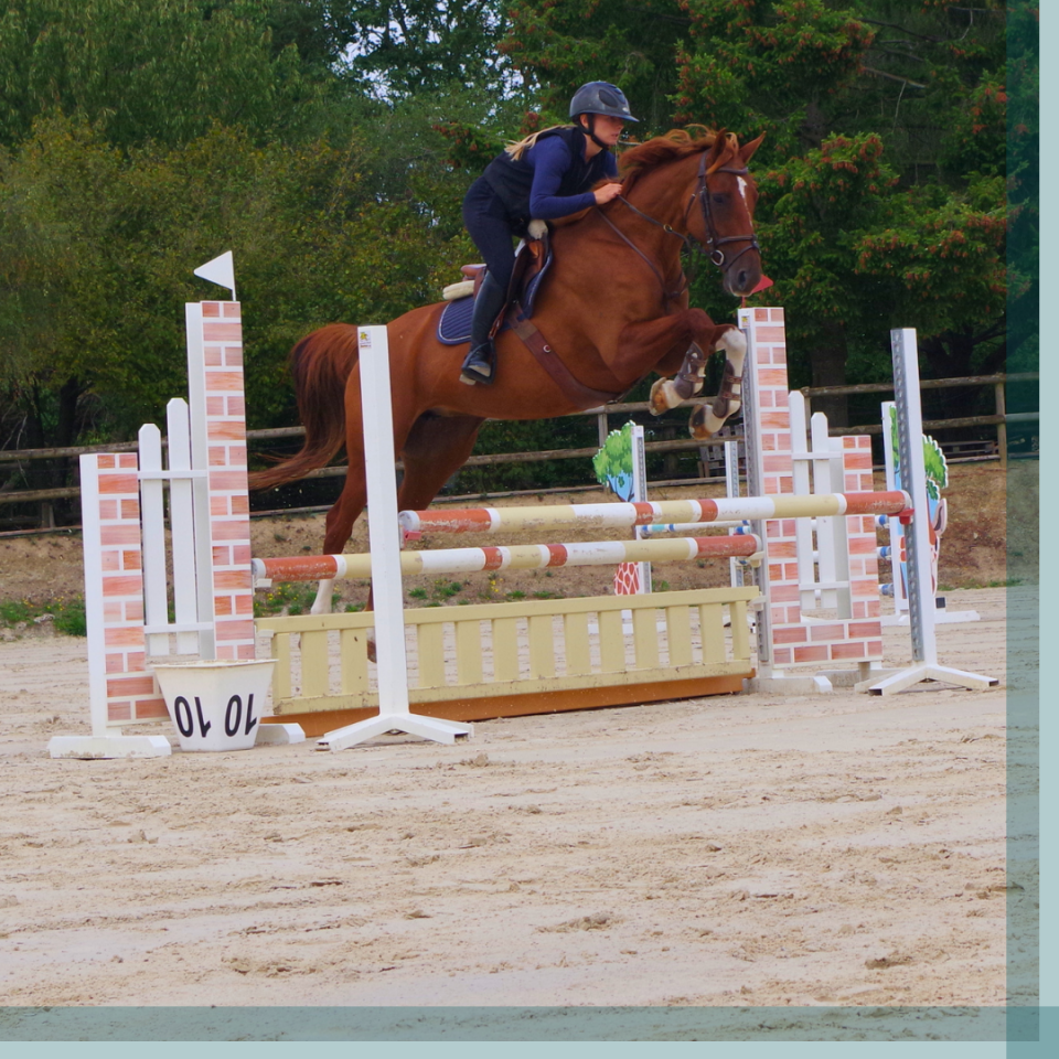 Jument 8 ans gagnante Amateur 2 CSO